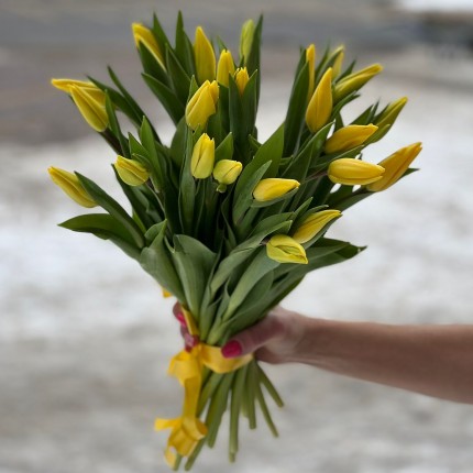  Букет желтых тюльпанов, заказать с доставкой в Калининграде
